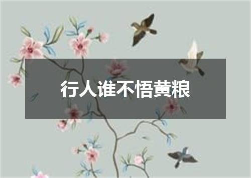 行人谁不悟黄粮