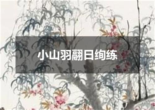 小山羽翮日绚练