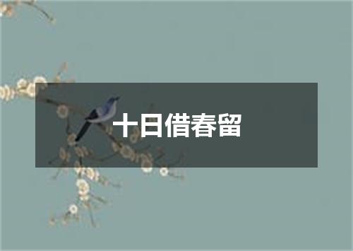 十日借春留