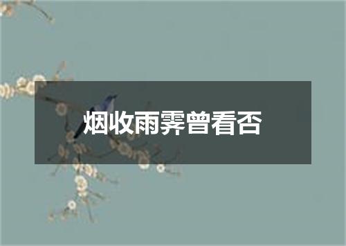 烟收雨霁曾看否