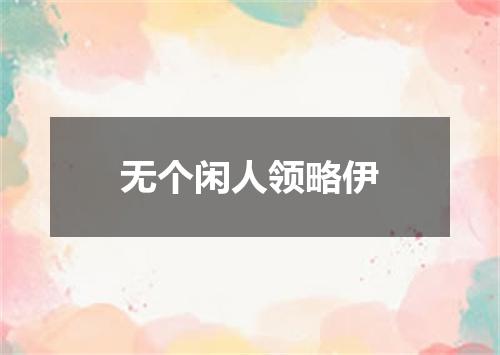 无个闲人领略伊