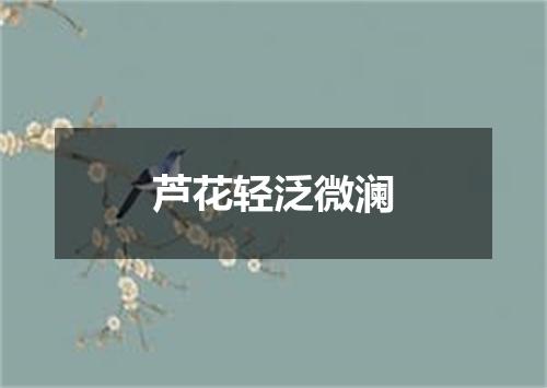 芦花轻泛微澜