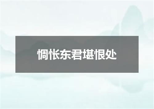 惆怅东君堪恨处