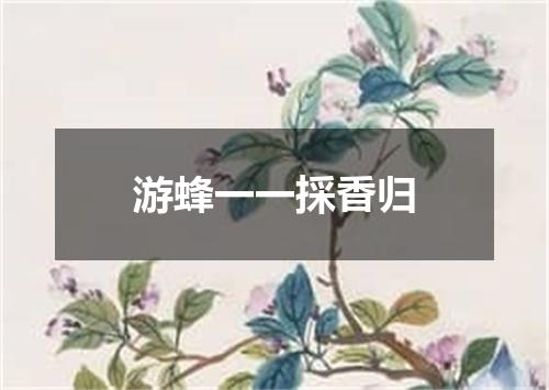 游蜂一一採香归