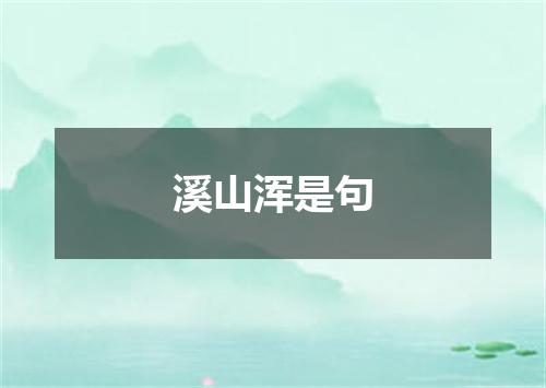 溪山浑是句