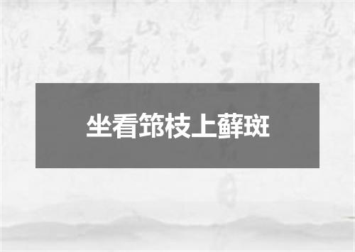 坐看筇枝上藓斑