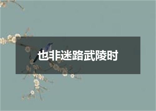 也非迷路武陵时