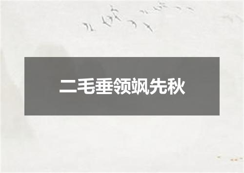 二毛垂领飒先秋