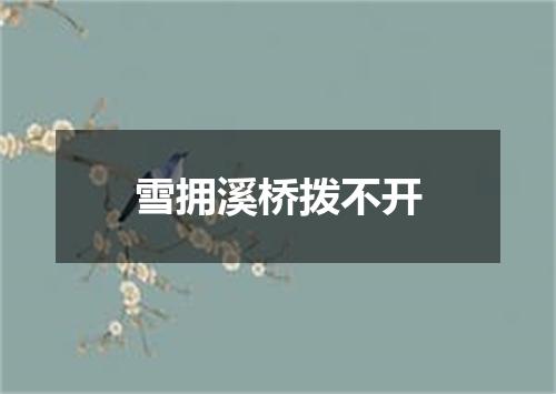 雪拥溪桥拨不开