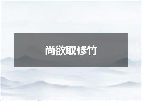 尚欲取修竹