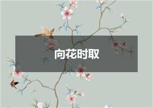 向花时取