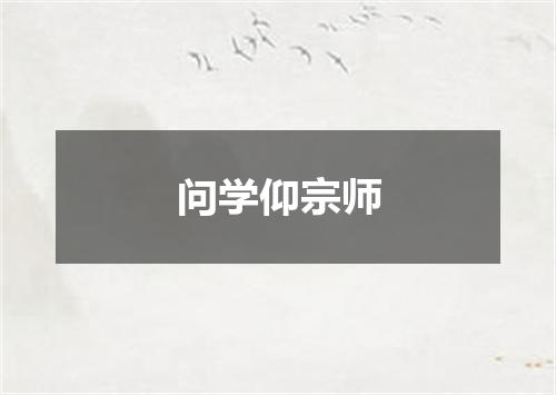 问学仰宗师