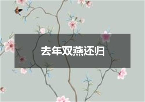 去年双燕还归