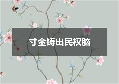 寸金铸出民权脑