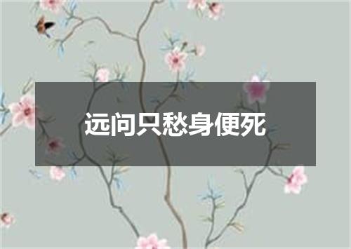 远问只愁身便死