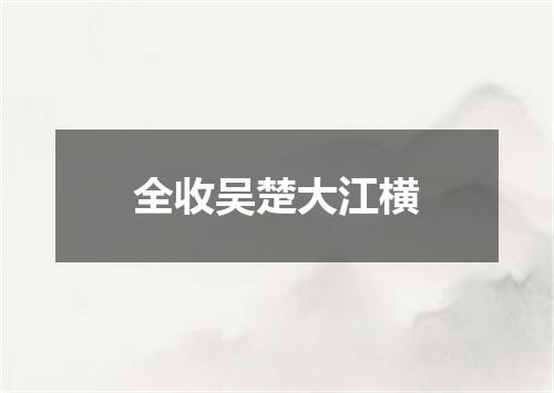 全收吴楚大江横