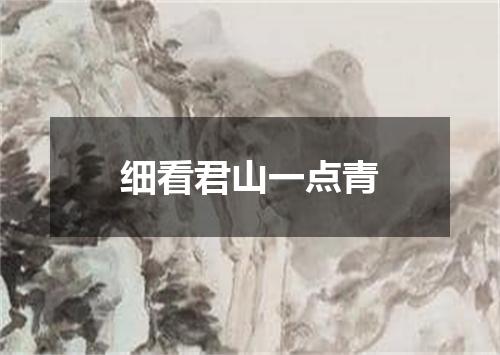 细看君山一点青