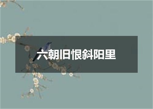 六朝旧恨斜阳里