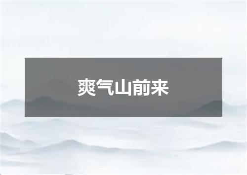 爽气山前来