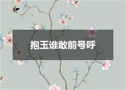 抱玉谁敢前号呼