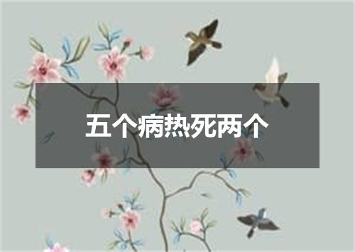 五个病热死两个