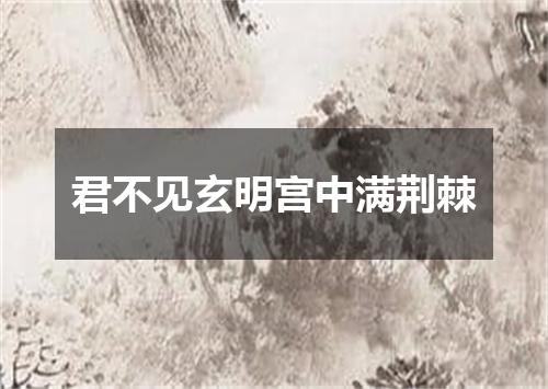 君不见玄明宫中满荆棘