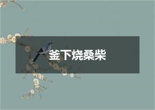 釜下烧桑柴