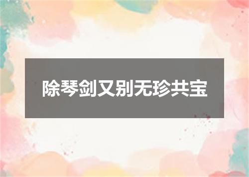 除琴剑又别无珍共宝