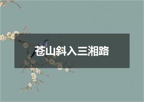 苍山斜入三湘路