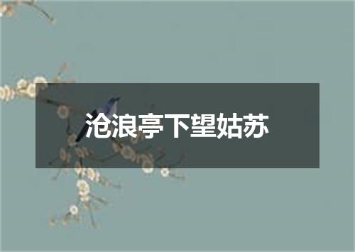 沧浪亭下望姑苏