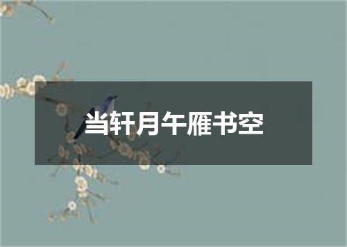 当轩月午雁书空