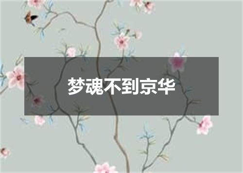 梦魂不到京华