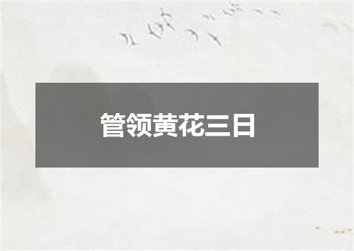 管领黄花三日