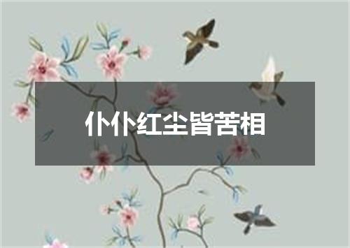 仆仆红尘皆苦相