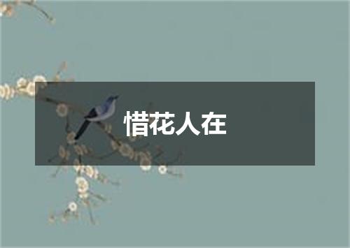 惜花人在