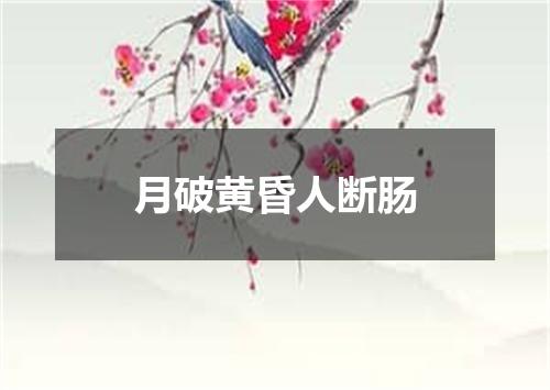 月破黄昏人断肠