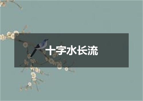 十字水长流