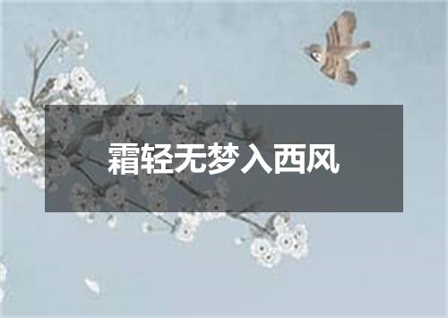 霜轻无梦入西风