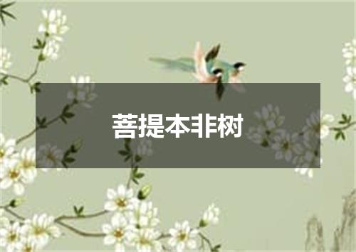 菩提本非树