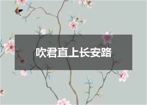 吹君直上长安路