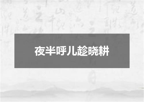 夜半呼儿趁晓耕