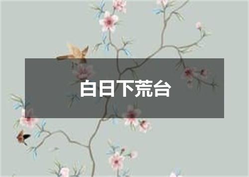 白日下荒台