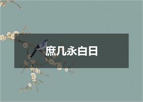 庶几永白日