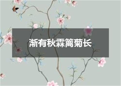 渐有秋霖篱菊长