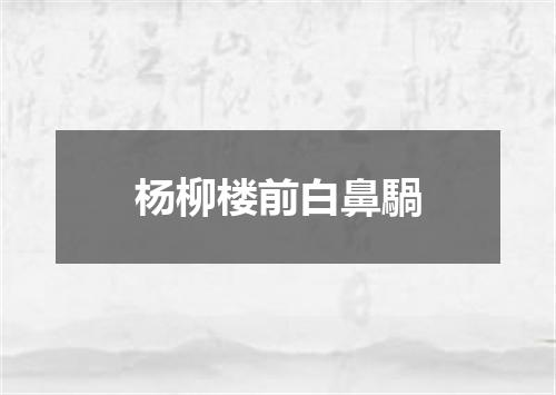 杨柳楼前白鼻騧