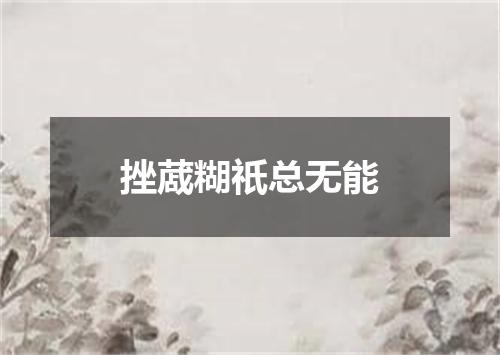 挫蒧糊祇总无能