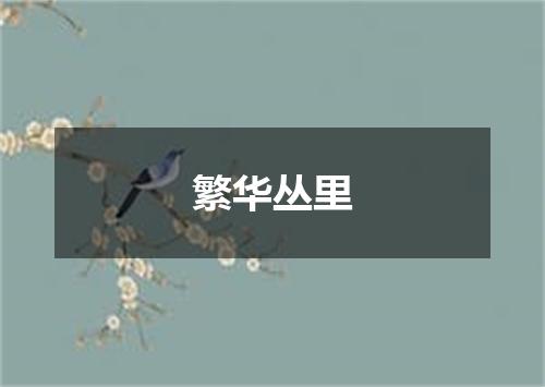 繁华丛里