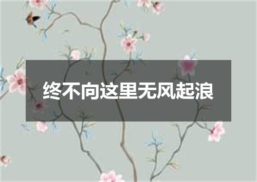 终不向这里无风起浪