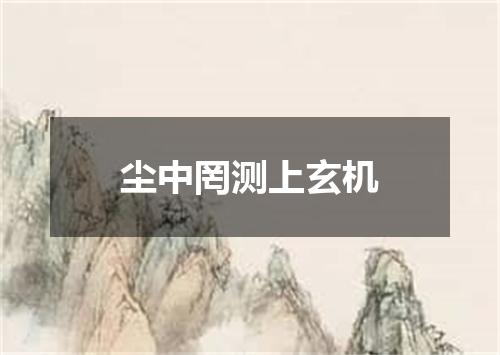 尘中罔测上玄机