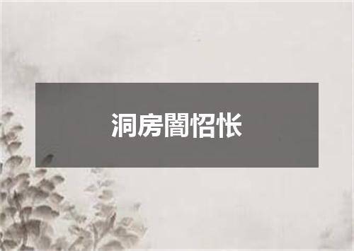 洞房闇怊怅